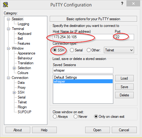 putty-front-screen.png